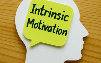 Motivation Intrinsèque